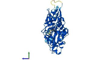Protein Structure (PS) image for Actin-Related Protein T1 (ACTRT1) (AA 1-376) protein (His tag) (ABIN7552004)
