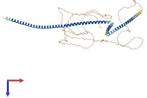 C14ORF39 Protein (AA 1-587) (His tag)