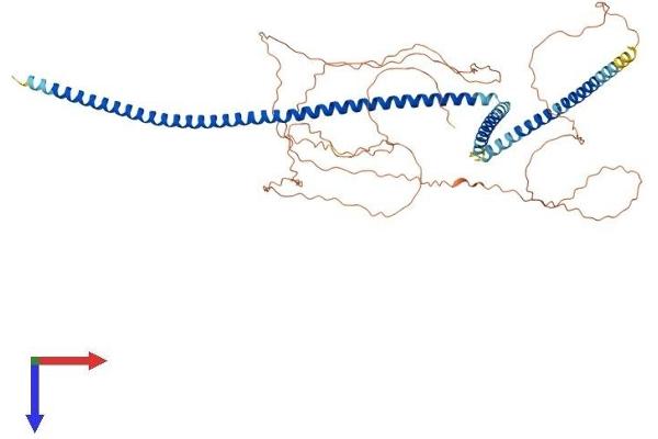 C14ORF39 Protein (AA 1-587) (His tag)