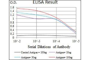 ELISA image for anti-Tubulin, beta 2A (TUBB2A) (AA 25-187) antibody (ABIN1846607) (TUBB2A Antikörper  (AA 25-187))