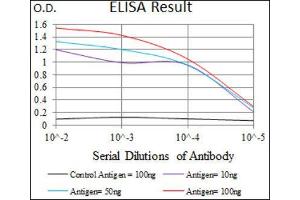 ELISA image for anti-Tubulin, beta 2A (TUBB2A) (AA 25-187) antibody (ABIN1846607)