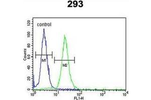 Flow cytometric analysis of 293 cells using LMBR1L Antibody (C-term) Cat. (LMBR1L Antikörper  (C-Term))