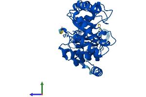 AlphaFold protein structure predicition of Human Recombinant DERA Protein, UniprotID Q9Y315