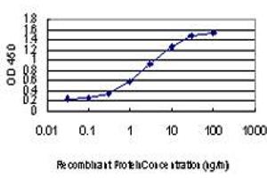 Detection limit for recombinant GST tagged CDKL1 is approximately 0. (CDKL1 Antikörper  (AA 259-358))