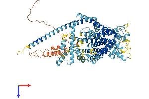 TMC7 Protein (AA 1-726) (His tag)