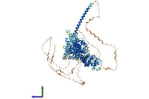 Protein Structure (PS) image for Diaphanous Homolog 3 (Drosophila) (DIAPH3) (AA 1-1193) protein (His tag) (ABIN7553710)