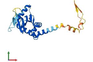 Protein Structure (PS) image for Adaptor-Related Protein Complex 3, sigma 2 Subunit (AP3S2) (AA 1-193) protein (His tag) (ABIN7558864)