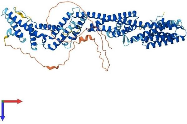 TNFAIP2 Protein (AA 1-691) (His tag)