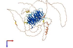 CDT2/RAMP Protein (AA 1-729) (His tag)