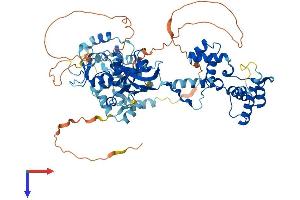 MTA2 Protein (AA 1-668) (His tag)