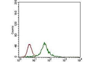 Flow cytometric analysis of HEK293 cells using ZFP42 mouse mAb (green) and negative control (red). (ZFP42 Antikörper  (AA 249-310))