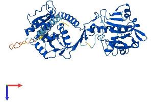 FKRP Protein (AA 1-494) (His tag)