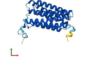 Protein Structure (PS) image for Monocyte To Macrophage Differentiation-Associated 2 (MMD2) (AA 1-247) protein (His tag) (ABIN7559657)