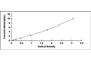 Typical standard curve (FEN1 ELISA Kit)