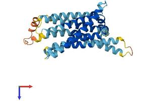 Taste Receptor, Type 2, Member 116 (TAS2R116) (AA 1-305) protein (His tag)