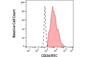 Separation of human CD24 positive lymphocytes (red-filled) from monocytes (black-dashed) in flow cytometry analysis (surface staining) of human peripheral whole blood stained using anti-human CD24 (SN3) FITC antibody (20 μL reagent / 100 μL of peripheral whole blood).
