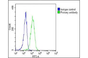 Overlay histogram showing K562 cells stained with C(green line). (EPOR Antikörper  (C-Term))