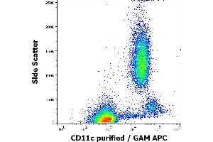 Flow cytometry surface staining pattern of human peripheral whole blood stained using anti-human CD11c (BU15) purified antibody (concentration in sample 2 μg/mL, GAM APC). (CD11c Antikörper)