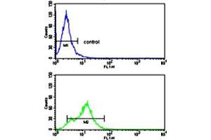 Flow cytometric analysis of HepG2 cells using ACVRL1 polyclonal antibody (bottom histogram) compared to a negative control cell (top histogram). (ACVRL1 Antikörper  (C-Term))