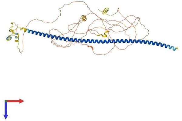 BEGAIN Protein (AA 1-593) (His tag)