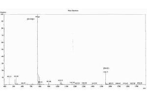 Image no. 3 for Luteinizing Hormone (LH) peptide (Ovalbumin) (ABIN5666267) (Luteinizing Hormone (LH) peptide (Ovalbumin))