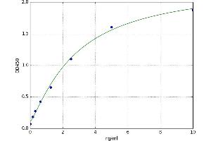 A typical standard curve (UGT1A1 ELISA Kit)
