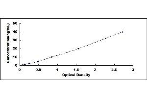 Typical standard curve (TIE1 ELISA Kit)