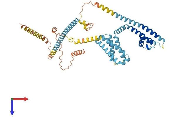 CATSPER4 Protein (AA 1-472) (His tag)