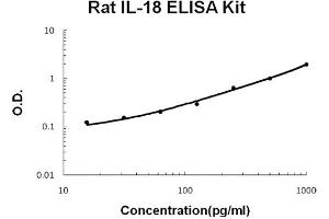 Rat IL-18 Accusignal ELISA Kit Rat IL-18 AccuSignal ELISA Kit standard curve. (IL-18 ELISA Kit)