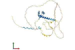 Protein Structure (PS) image for H6 Family Homeobox 3 (HMX3) (AA 1-357) protein (His tag) (ABIN7548345)