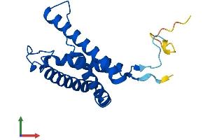 AlphaFold protein structure predicition of Human Recombinant TMEM229B Protein, UniprotID Q8NBD8