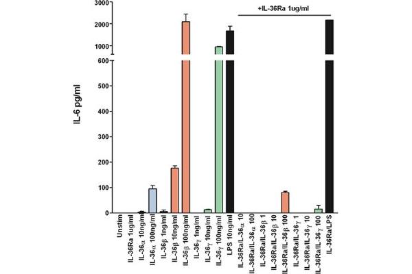 FIL1d Protein (AA 3-156)