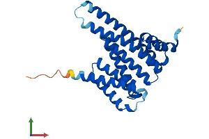 Protein Structure (PS) image for 14-3-3 alpha + beta (YWHAB) (AA 1-246) protein (His tag) (ABIN7551771)