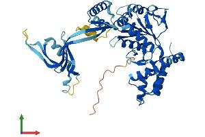AlphaFold protein structure predicition of Human Recombinant RUVBL1 Protein, UniprotID Q9Y265 (RUVBL1 Protein (AA 1-456) (His tag))