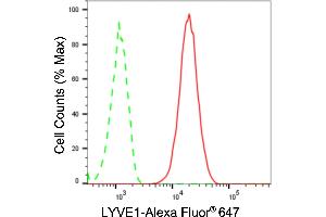 Flow cytometric analysis of LYVE1 expression in HT- cells using LYVE1 antibody (ABIN7799288), 1:2,000). (Rekombinanter LYVE1 Antikörper)