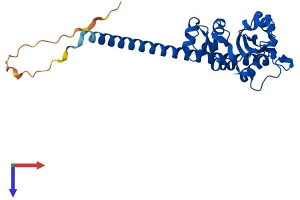 RPL7 Protein (AA 1-270) (His tag)