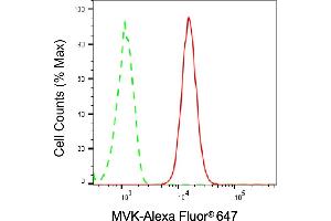 Flow cytometric analysis of MVK expression in HT- cells using MVK antibody (ABIN7799401), 1:2,000). (Rekombinanter MVK Antikörper)