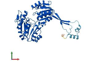Protein Structure (PS) image for Aldehyde Dehydrogenase 3 Family, Member B2 (ALDH3B2) (AA 1-385) protein (His tag) (ABIN7552045)