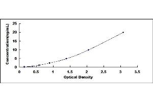 Typical standard curve (PLA2G7 ELISA Kit)