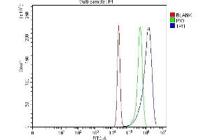 Flow Cytometry analysis of K562 cells using anti-TPI1 antibody (ABIN7599216).