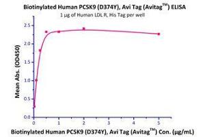 Immobilized Human LDL R, His Tag (Cat# LDR-H5224) at 10 μg/mL (100 μl/well) can bind Biotinylated Human (D374Y) PCSK9 (Cat# PCY-H82E7 ) with a linear range of 0. (PCSK9 Protein (AA 31-692) (His tag,AVI tag,Biotin))