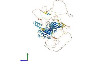 Protein Structure (PS) image for B-Cell Scaffold Protein with Ankyrin Repeats 1 (BANK1) (AA 1-783) protein (His tag) (ABIN7558359)