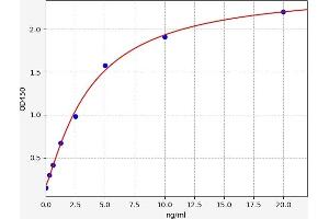 P4HA1 ELISA Kit