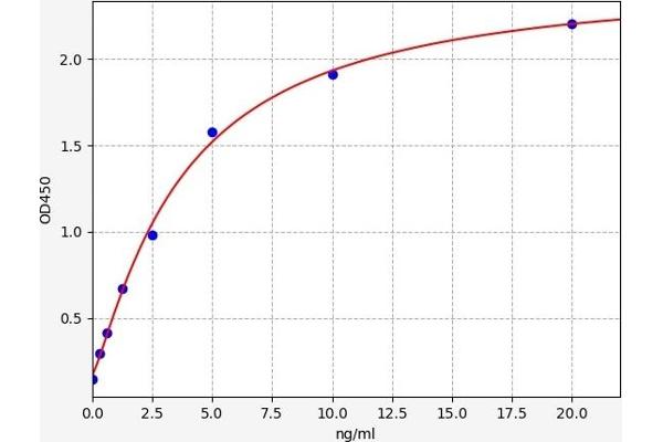 P4HA1 ELISA Kit