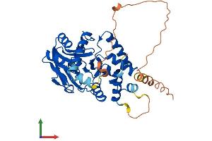 Protein Structure (PS) image for Paroxysmal Nonkinesigenic Dyskinesia (PNKD) (AA 1-385) protein (His tag) (ABIN7557888)