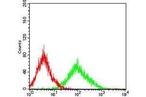 Flow Cytometry (FACS) image for anti-Snail Family Zinc Finger 2 (SNAI2) (AA 100-200) antibody (ABIN5542256)
