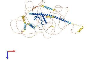 SOX6 Protein (AA 1-828) (His tag)