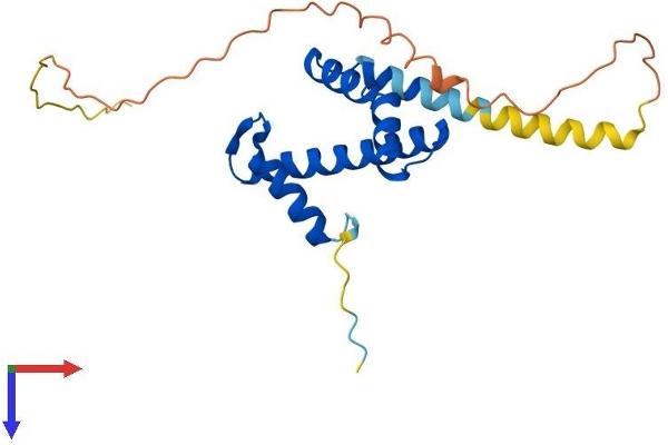 TAF11 Protein (AA 1-211) (His tag)