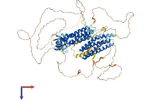 NEDD9 Protein (AA 1-833) (His tag)