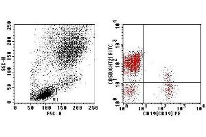 Flow Cytometry (FACS) image for anti-CD2/CD19 (CD2/CD19) antibody (FITC,PE) (ABIN2144436) (CD2/CD19 Antikörper  (FITC,PE))
